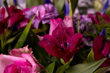 Bouquet of pink English roses, tulip, carnation and green close up