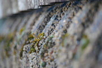 Macro shot of moss on a stone foundation of a wooden fence