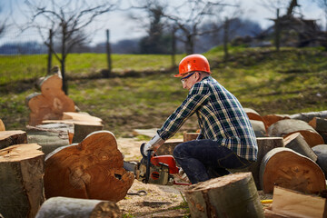 Lumberjack with chainsaw working