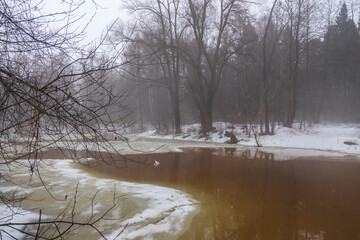 Fog over the water. Cloudy spring day by the river. Early spring, the river is in flood. Trees and bushes on the banks of the river.