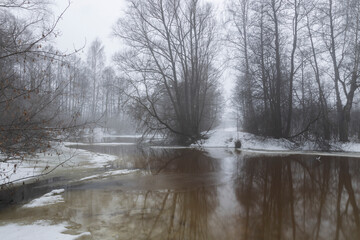 Fog over the water. Cloudy spring day by the river. Early spring, the river is in flood. Trees and bushes on the banks of the river.