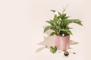 Food composition of raw spaghetti, farfalle and girandole pasta in a glasses on white table with copy space. Zero waste concept, no plastic. Sale and storage of bulk products in eco friendly container