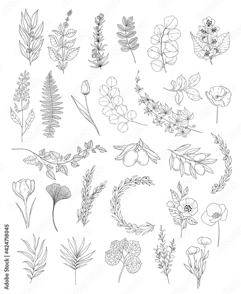 Wall mural botanical set of black and white graphic flowers. floral elements for creating logos and wedding dec