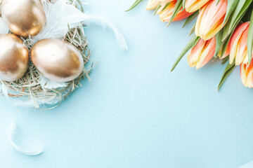 Naklejka na ściany i meble Golden eggs in basket with spring tulips, white feathers on pastel blue background in Happy Easter decoration. Foil minimalist egg design, modern top view design.