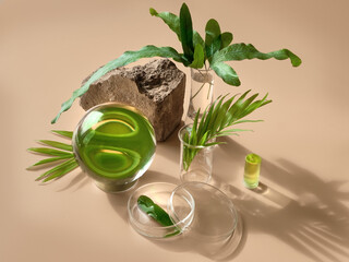 Exotic leaves seen via water in chemical glass, petri dishes, vase. Reflections, optical...