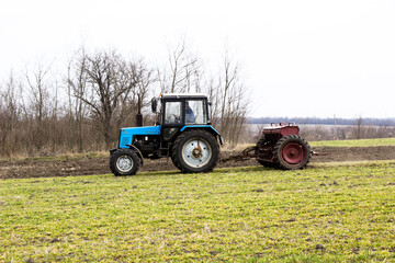 Obraz premium Spring feeding of winter wheat with fertilizer Ukraine