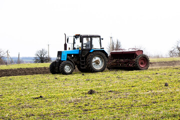 Spring feeding of winter wheat with fertilizer Ukraine