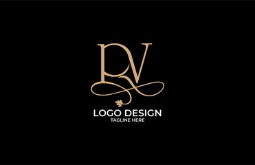 Monogram Beauty Letter PV Logo Calligraphic