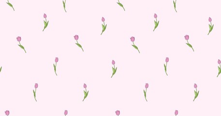 Tulip   seamless pattern on pink background