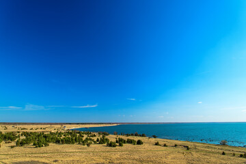 blue sky, sea andfield with trees