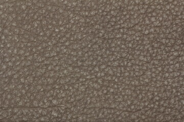 Fototapeta premium leather background