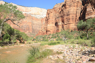 Virgin River in Zion Canyon, Zion National Park in Utah, USA