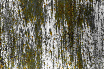 Obraz premium Old grungy texture, grey annd green concrete wall background
