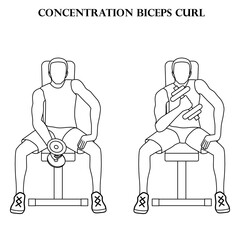 Concentration biceps curl exercise strength workout vector illustration outline