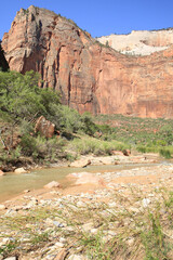 Virgin River in Zion Canyon, Zion National Park in Utah, USA