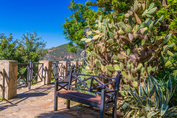 Bench in the park against the background of cacti and mountains.