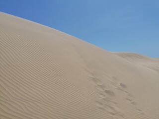 Maspalomas dunes, the desert in Gran Canaria 