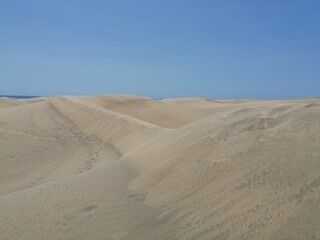 Fototapeta na wymiar Maspalomas dunes, the desert in Gran Canaria 