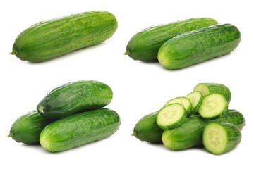 fresh turkish cucumber on a white background