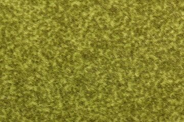 texture of grass