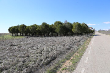 Complejo Lagunar de Manjavacas 