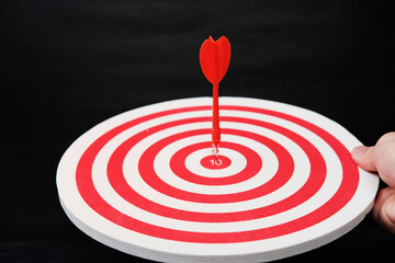 Fototapeta na wymiar Dart board with target and business growth concept, Business plan successful