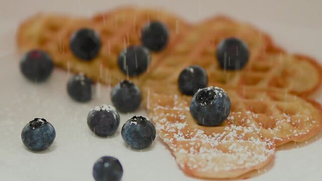 leckere, frische Waffel mit saftigen Blaubeeren wird mit Puderzucker best&auml;ubt.