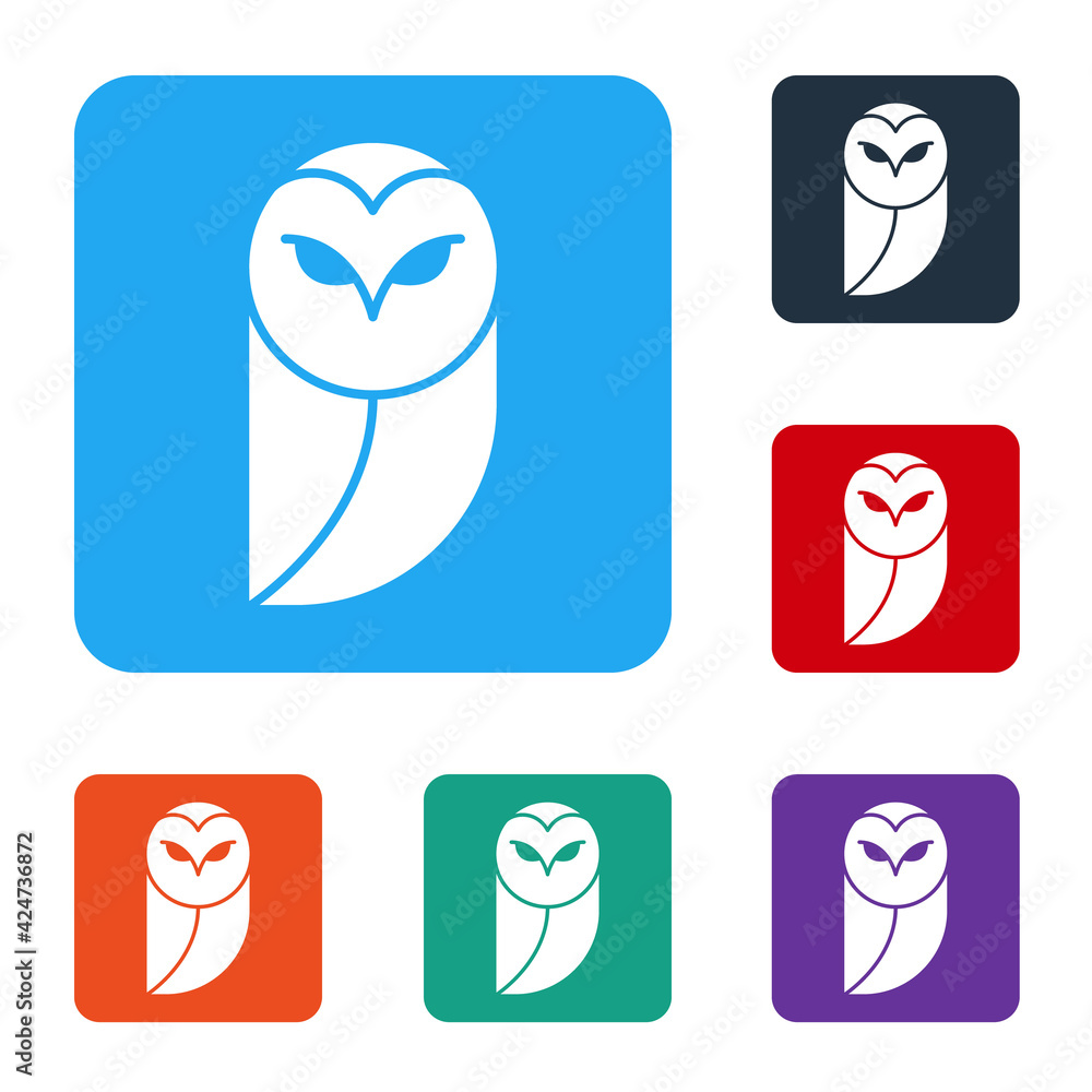 Poster white owl icon isolated on white background. animal symbol. set icons in color square buttons. vecto
