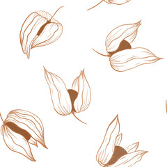 Physalis Flowers Seamless Pattern on White Background Illustration Design