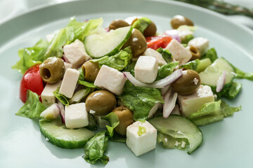 Plate with fresh Greek salad, closeup