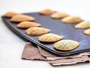 Freshly Baked french madeleine cookies. Homemade traditional French small cookie.