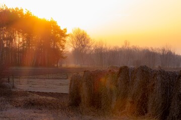 Polska wieś pola o wschodzie słońca © FotoWave Dawid Nowak