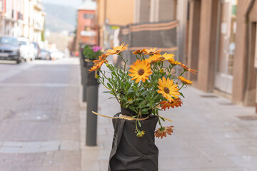 Flowers in the street of  Catalan town in April 3 in La Seu d Urgell, Catalonia. Town is located in Catalan Pyrenees