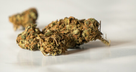 Legal, dry cannabis cbd marijuana for health and private use in the isolated bright studio. 