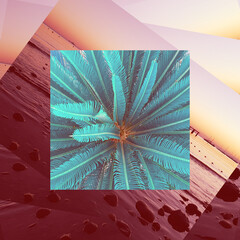 Abstract palm tree against the background of the sunset on the sea.