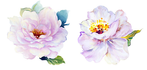 Flowers watercolor illustration. Manual composition.Design for cover, fabric, textile, wrapping paper .