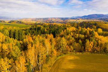 Panoramic autumn view of church, hills and fields near Boboszow, Poland