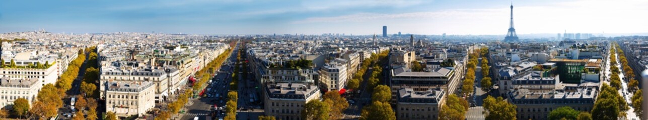 Fototapeta na wymiar Cityscape of Paris with the Eiffel Tower and apartment buildings aerial view, France