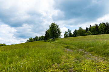 Long mountain trail with beautiful landscape in Rudawy Janowickie