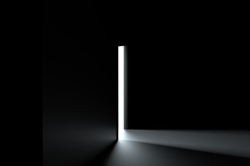 3D rendering dark and light door