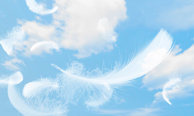 Beautiful Group of White Feathers Floating in the Sky with Clouds. Abstract Feather Flying in Heaven.	