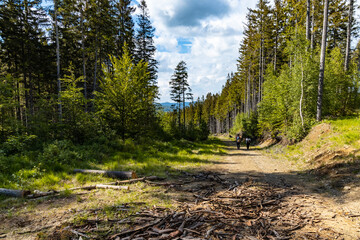 Long mountain trail with beautiful landscape in Rudawy Janowickie