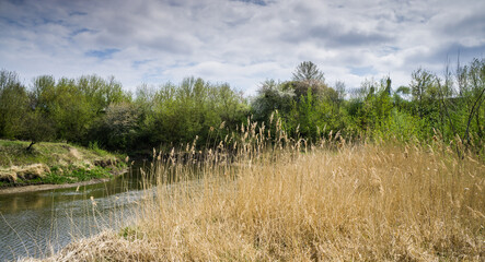 Fototapeta na wymiar Landscape with a river and a meadow.