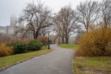 Central Park in spring