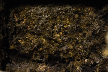 Photo of mold texture in ventilation system