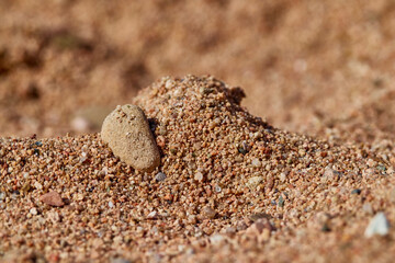 Small stones small hill on beach