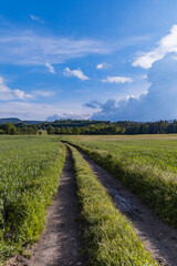 Fototapeta na wymiar Long mountain trail with beautiful landscape in Rudawy Janowickie