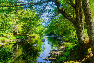 Fototapeta na wymiar Mersey river, in Kejimkujik National Park