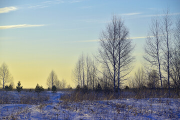 Winter field in the light of the setting sun
