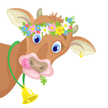 Funny goby. A small bull in a flower wreath looks out of the picture. In cartoon style. Isolated on white background. Vector flat illustration.
